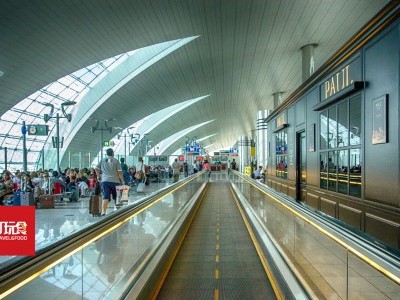 [迪拜] 机场出现骗子 旅客提高警惕