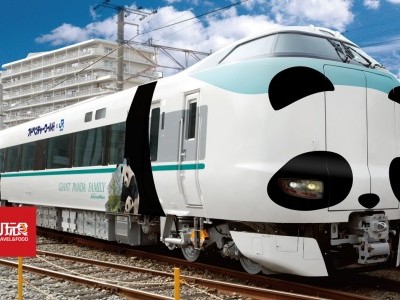 [日本] 和歌山萌爆熊猫火车8月有得坐