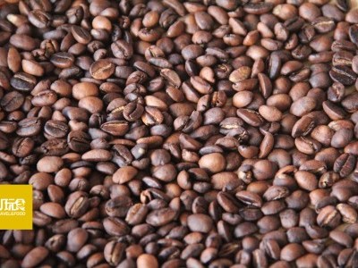 [阿里山] 优质咖啡新世界