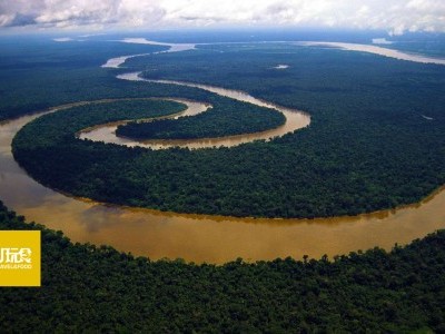 [巴西] 亚马逊河4天3夜漂流记