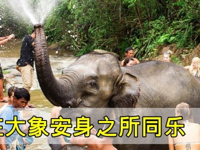 [泰国-普吉岛] 在大象快乐王国过一日