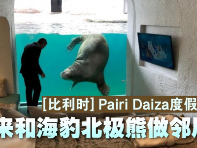 [比利时] Pairi Daiza度假村 隔着玻璃和海豹北极熊做邻居