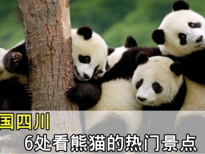 [中国] 游客最爱的6大熊猫故乡