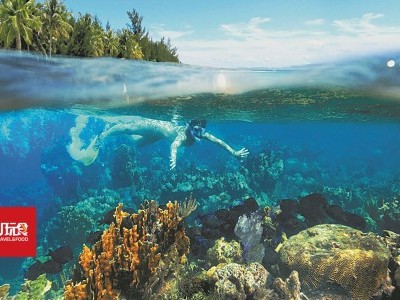 [曼塔那尼岛] 寻那蓝色大海美人鱼